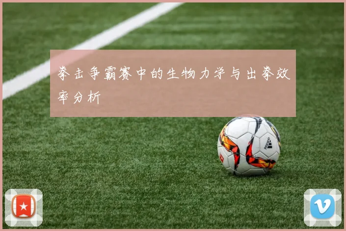 拳击争霸赛中的生物力学与出拳效率分析