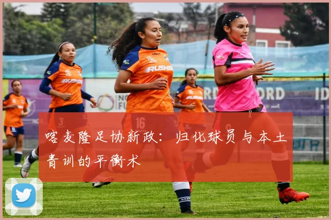 喀麦隆足协新政：归化球员与本土青训的平衡术