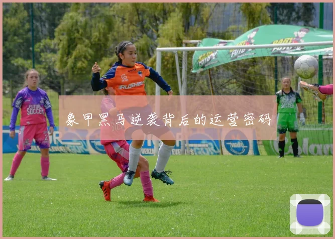 象甲黑马逆袭背后的运营密码