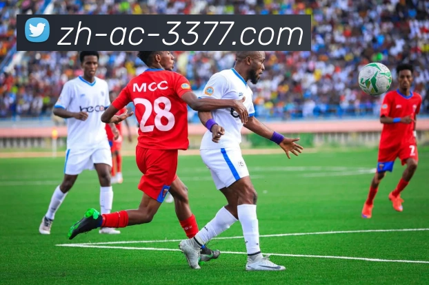 奖项证书